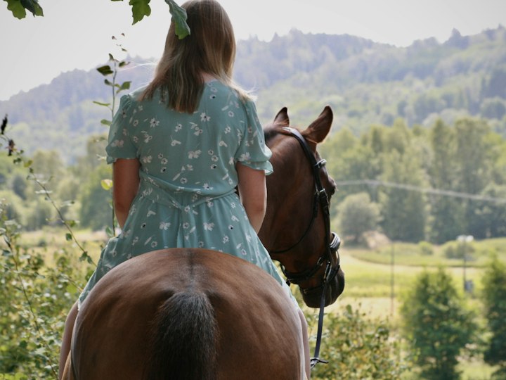 Une jeune cavalière et son cheval dans un champ
